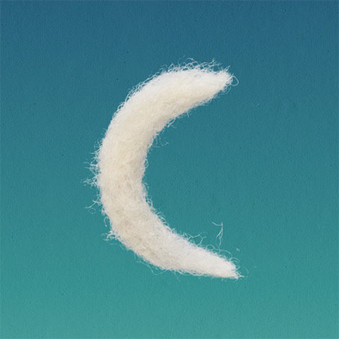 Coachella App Icon
