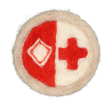 medical icon